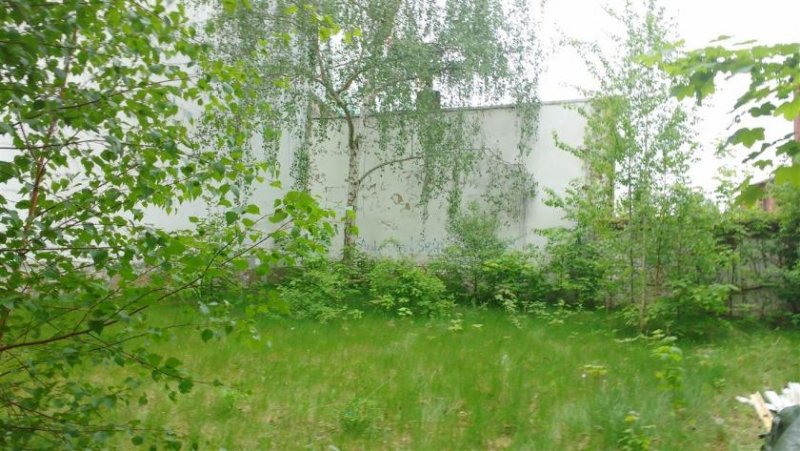 Chemnitz * Innenstadtnahes MFH in Uninähe mit schönem Hausgarten zum Fertigstellen * Haus kaufen