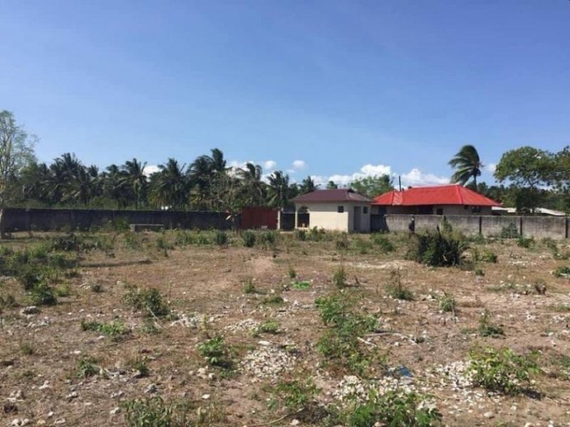 Buyu Beachplot Buyu Chukwani near Zanzibar Airport Grundstück kaufen