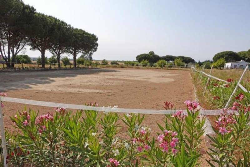 Chiclana de la Frontera Andalusien, Chiclana de la Frontera - neu renovierte Finca mit Pferdestall Haus kaufen