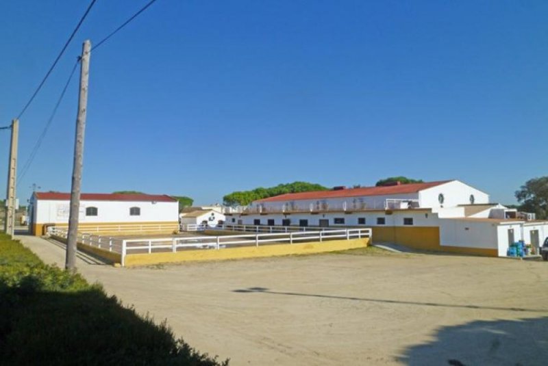 Chiclana de la Frontera Andalusien, Costa de la Luz, Chiclana - Finca mit Stall, Halle, Restaurant und Wohnhaus Haus kaufen