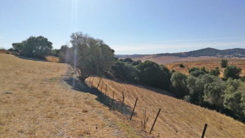 Vejer de la Frontera Andalusien, Vejer de la Frontera - Finca zum renovieren zu verkaufen Haus kaufen