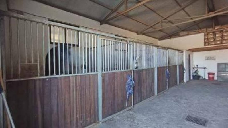 Jimena de la Frontera Andalusien, Sotogrande - Finca mit Pferdeboxen zu verkaufen Haus kaufen