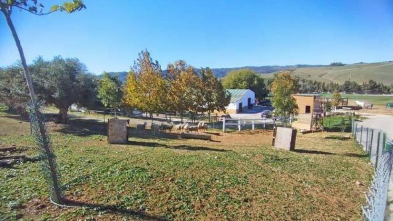 Jimena de la Frontera Andalusien, Sotogrande - Finca mit Pferdeboxen zu verkaufen Haus kaufen