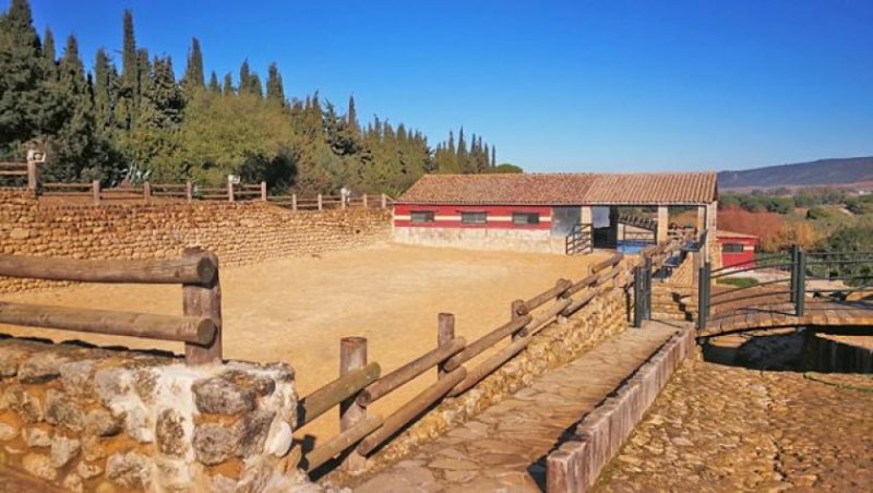 Arcos de la Frontera Andalusien, Arcos de la Frontera Finca für Pferdeliebhaber zu verkaufen Haus kaufen