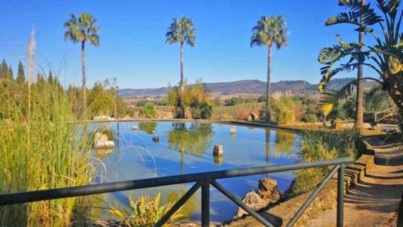 Arcos de la Frontera Andalusien, Arcos de la Frontera Finca für Pferdeliebhaber zu verkaufen Haus kaufen