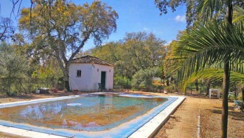 Arcos de la Frontera Andalusien, Arcos de la Frontera - Landhaus, Pool, Gästehaus auf 13 ha Grund zu verkaufen Haus kaufen