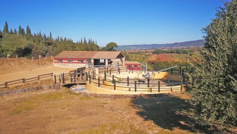 Arcos de la Frontera Andalusien, Arcos de la Frontera Finca für Pferdeliebhaber zu verkaufen Haus kaufen