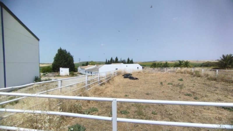 Bornos Andalusien, Provinz Cadiz, Bornos - Finca mit viel Land + Potential Haus kaufen