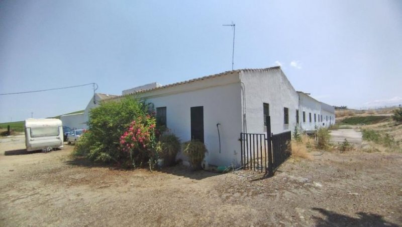 Bornos Andalusien, Provinz Cadiz, Bornos - Finca mit viel Land + Potential Haus kaufen