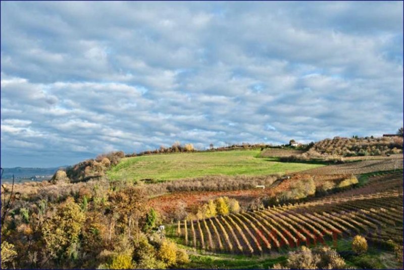 Serralunga d'Alba ***Schönes toskanisches Landhaus mit Hallenschwimmbad, sucht neuen EIgentümer*** Haus kaufen