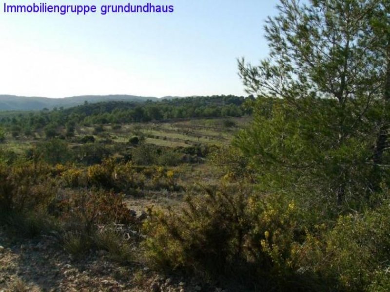 Torreblanca von privat: Finca in absoluter Ruhiglage, mit traumhaftem Meerblick an der Costa del Azahar Grundstück kaufen