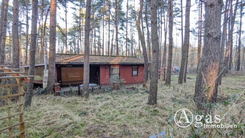 Schwielowsee großzügiges Freizeitgrundstück mit Bungalow in Ferch Haus kaufen