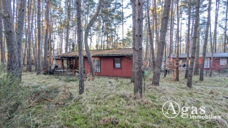 Schwielowsee großzügiges Freizeitgrundstück mit Bungalow in Ferch Haus kaufen