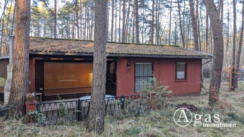 Schwielowsee großzügiges Freizeitgrundstück mit Bungalow in Ferch Haus kaufen