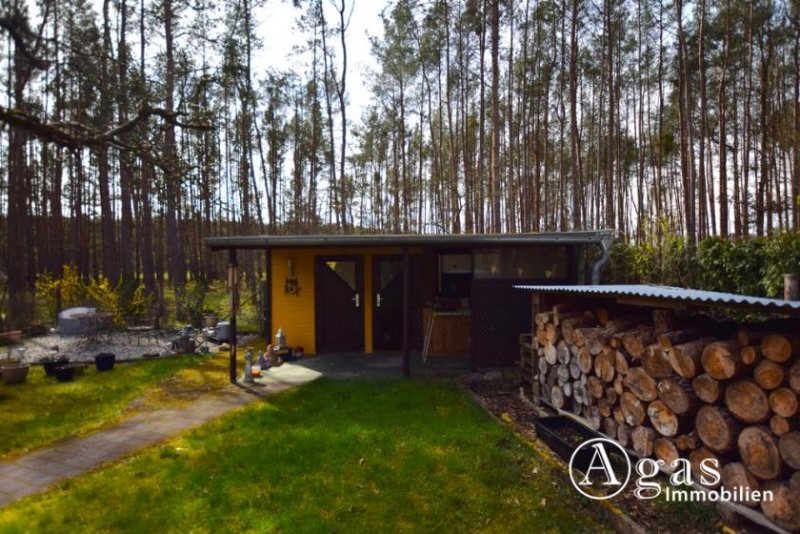 Premnitz Bungalow mit Gartenhaus, Außenpool, Carport und überdachter Terrasse in Ortsrandlage von Mögelin Haus kaufen