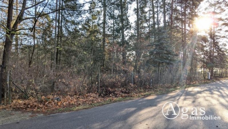 Borkheide Großzügiges, bauträgerfreies Grundstück in Borkheide Grundstück kaufen