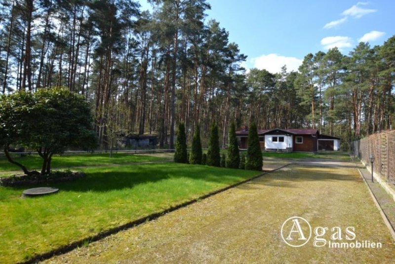 Borkheide Sehr gepflegter Bungalow mit Garage auf liebevoll angelegtem Grundstück in Borkheide Haus kaufen