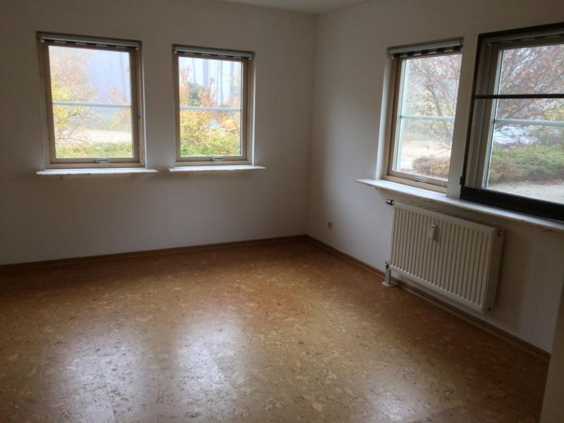 Borkwalde Eigentumswohnung mit Terrasse in Schwedenhaussiedlung Wohnung kaufen