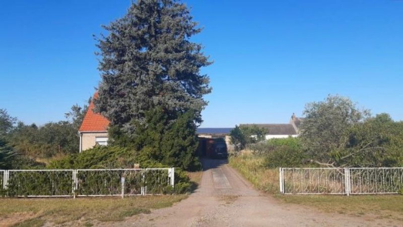 Brück Haus mit Nebengelass und großem Garten Haus kaufen