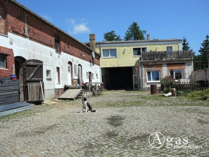 Niederer Fläming bezugsfreier 3-Seiten-Pferde-Hof mit großer Fläche und Sonnen-Grundstück im schönen Niederer Fläming Haus kaufen