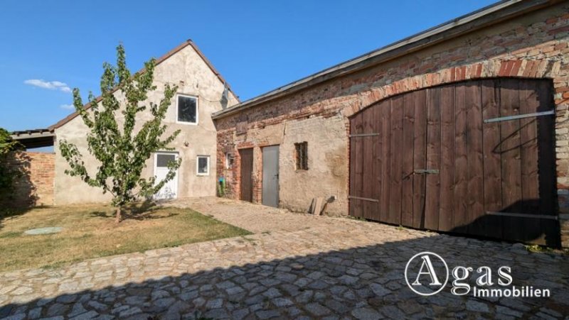 Niederer Fläming Einfamilienhaus mit Nebengebäuden und großem Garten Haus kaufen