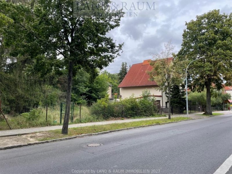 Thyrow Freies unbebautes Baugrundstück in Thyrow - für Ihr neues Wohnhaus Grundstück kaufen