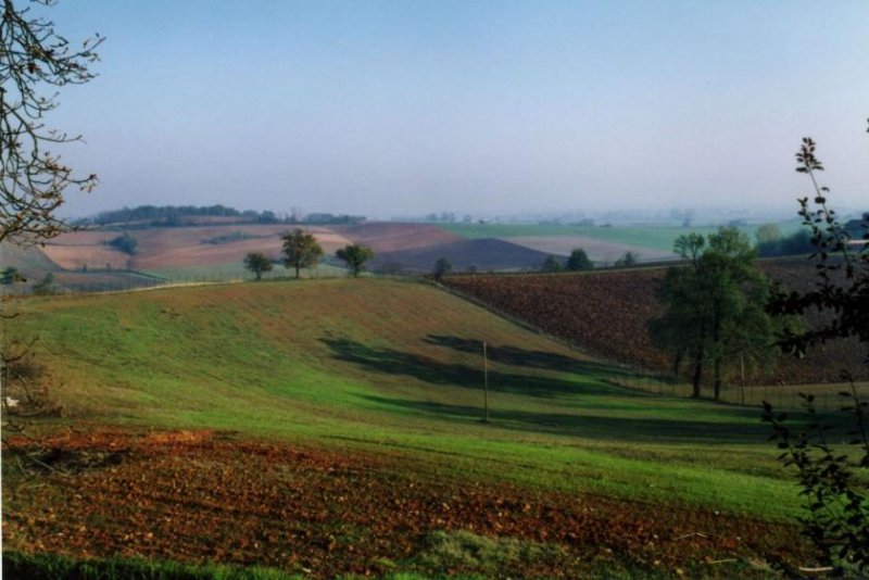 Monferrato Das letzte Juwel in Monferrato ****Haus oder Hotel Haus kaufen