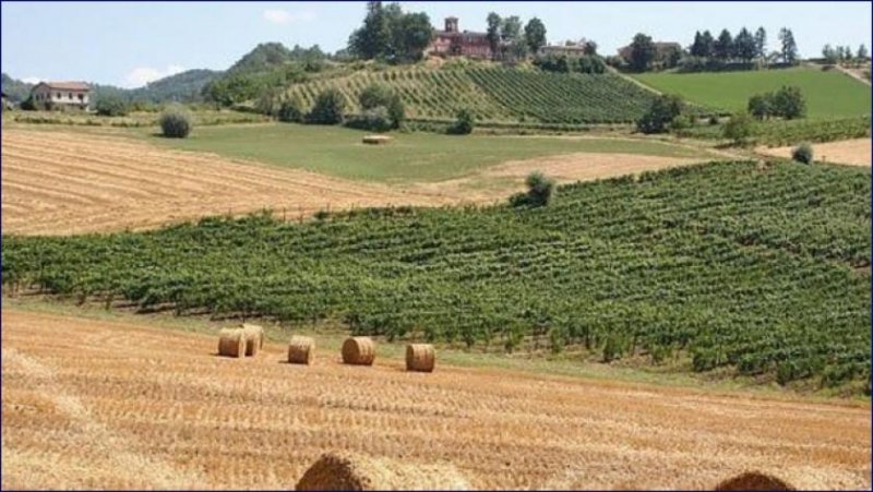 Montesegale ***Großes Landhaus auf 43 Hektar Landfläche in der Lombardei, sucht neuen Eigentümer*** Haus kaufen