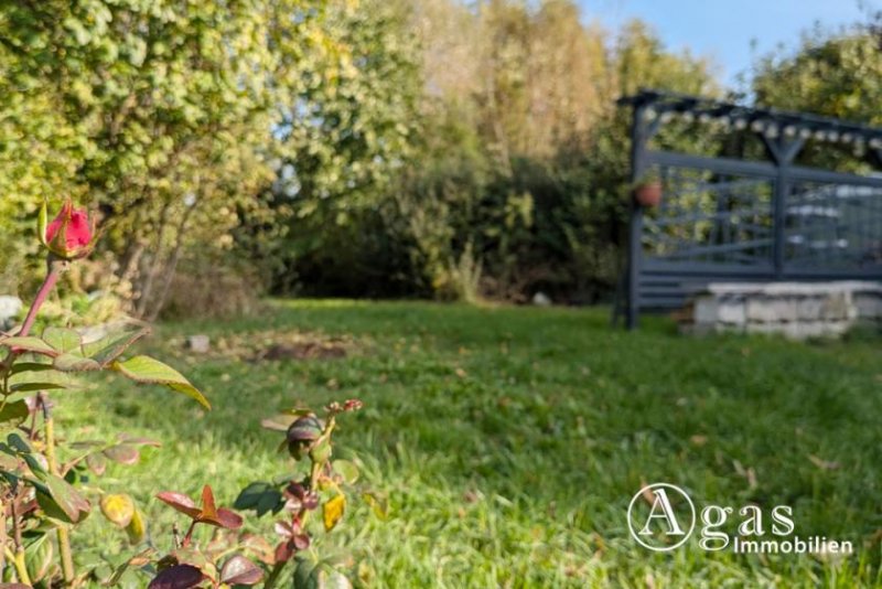 Zechin Provisionsfrei: Massives Einfamilienhaus auf großem Grundstück mit unverbautem Blick Haus kaufen