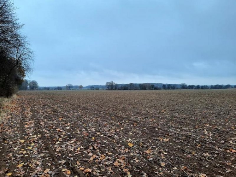 Strausberg Entwicklungsgrundstücke vor den Toren Berlins Grundstück kaufen