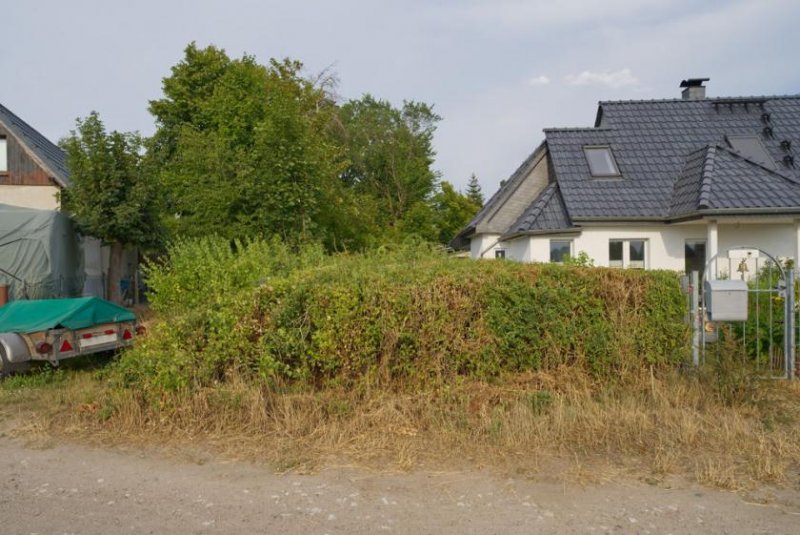 Petershagen (Landkreis Märkisch-Oderland) bauträgerfreies Grundstück für ein Einfamilienhaus Grundstück kaufen