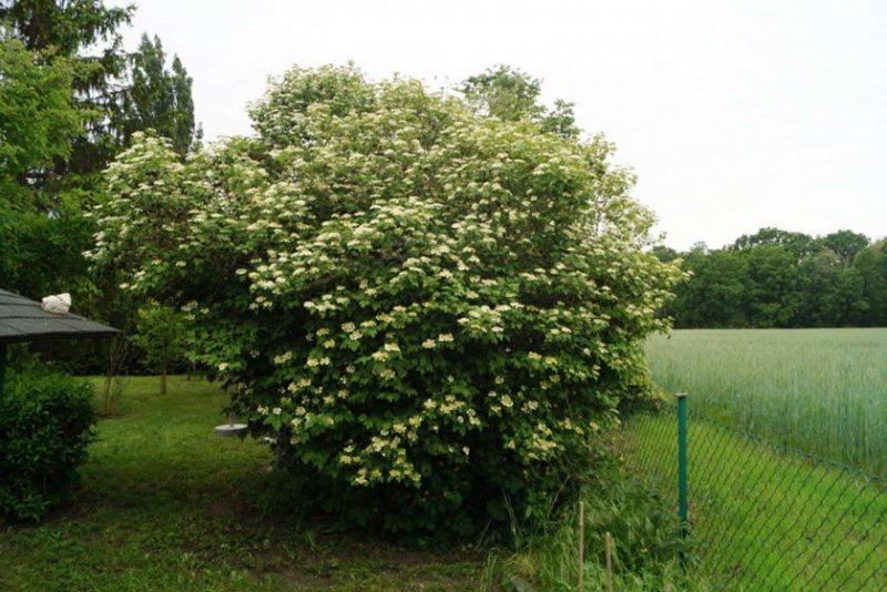 Zossen Grundstück in Dabendorf mit Blick auf Feld und Naturschutzgebiet Grundstück kaufen