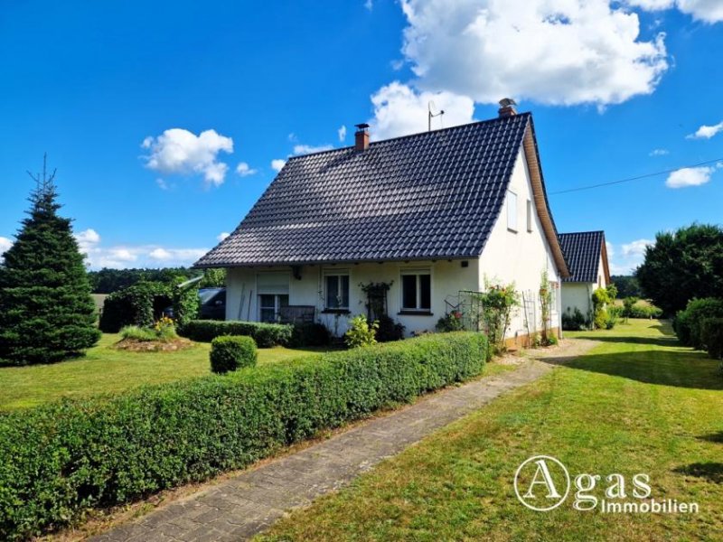 Märkische Heide Traumlage - Einfamilienhaus für Naturliebhaber mit unverbauten Blick in der Nähe vom Schwielochsee Haus kaufen