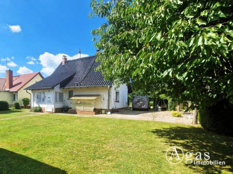 Märkische Heide Traumlage - Einfamilienhaus für Naturliebhaber mit unverbauten Blick in der Nähe vom Schwielochsee Haus kaufen