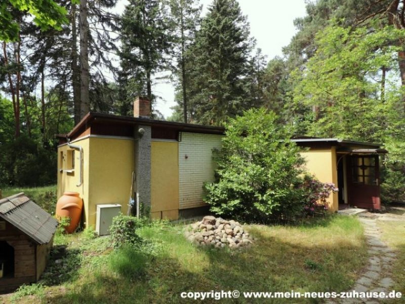 Schwielochsee Mein Ferienhaus mit Bootssteg am Kleinen Schwielochsee! Haus kaufen