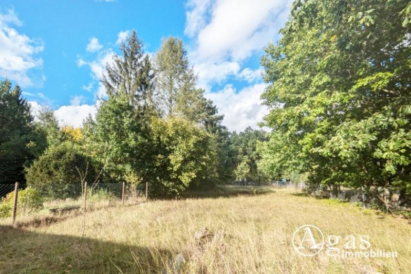 Schorfheide Doppelhaushälfte mit Nebengebäuden und großem Grundstück in Schluft / Schorfheide Haus kaufen