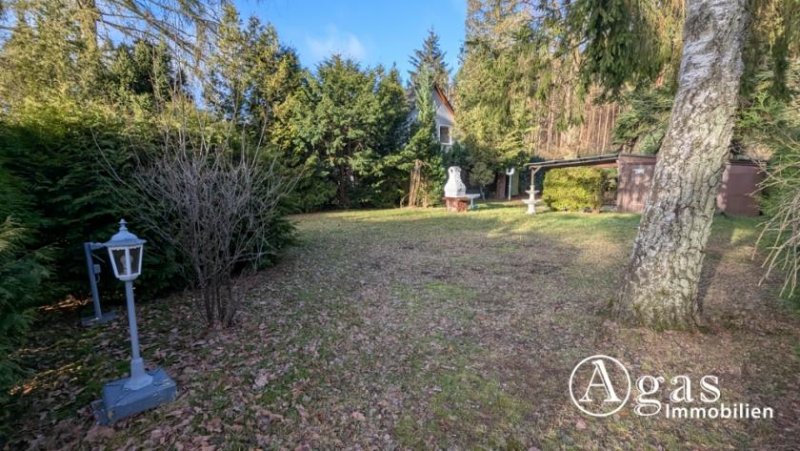 Bergfelde Bauträgerfreies Grundstück mit Bungalow in idyllischer Waldrandlage in Bergfelde Grundstück kaufen