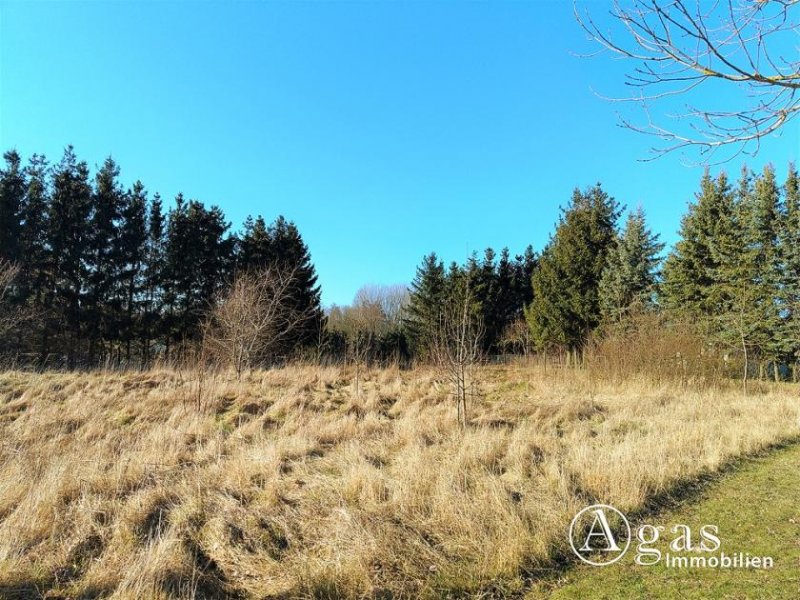 Lüssow (Landkreis Vorpommern-Greifswald) Noch zu teilendes ca. 1.250m² großes Grundstück mit ca. 4.000m² Gartenland in Ostseenähe Grundstück kaufen