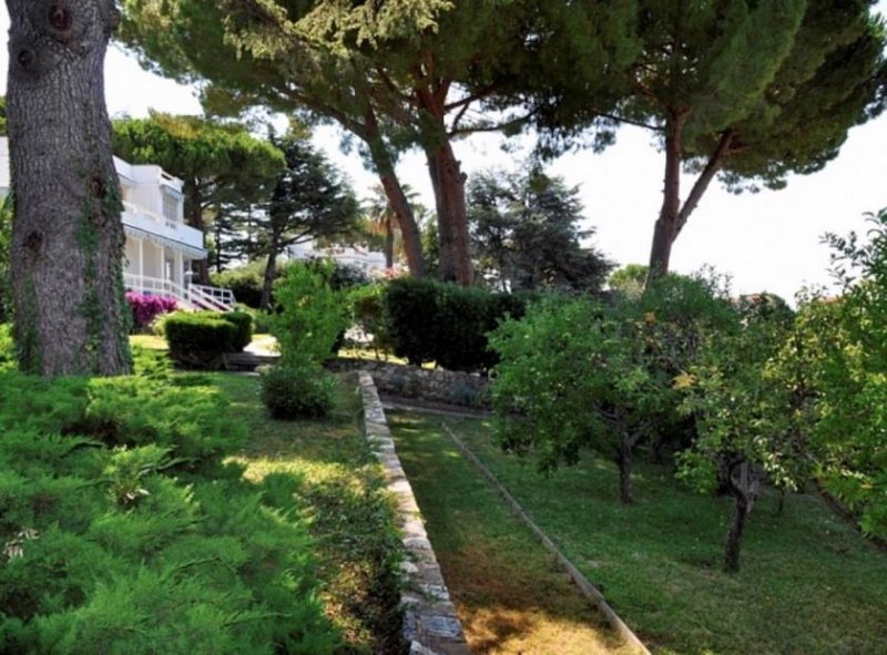 Bordighera VILLA 356 MQ CON VISTA MARE STUPENDA! Haus kaufen