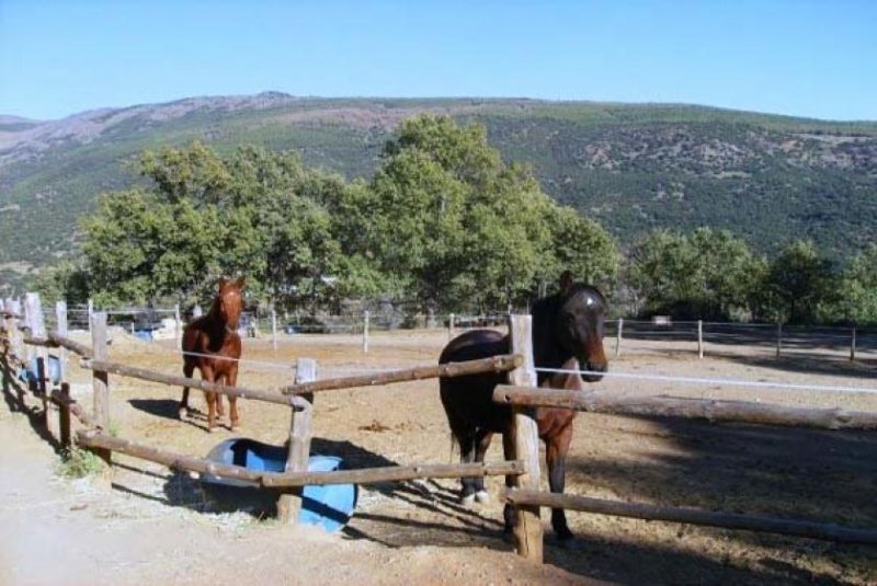 Busquistar Andalusien, Provinz Granada, 18416 Busquistar - Finca mit Haus zum renovieren Haus kaufen