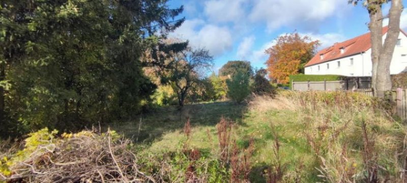 Bergen auf Rügen ObjNr:19580 - Teilsaniertes gemütliches Einfamilienhaus mit großem Garten am Ortsrand von Bergen Haus kaufen