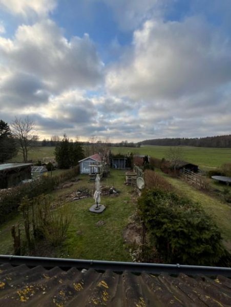 Sehlen SEHLEN: Modernes und sehr gepflegtes Reihenendhaus mit 495 m2 Garten in ruhiger, grüner Ortsrandlage. Haus kaufen