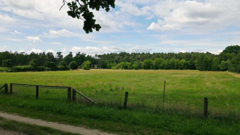 Vielank Baugrundstück in idyllischer Lage im Biosphärenreservat Elbe Grundstück kaufen