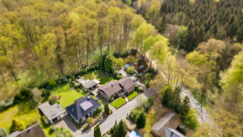 Embsen Waldrandlage & TOP gepflegt, ca. 220 qm Wohn-/Nutzfläche, 2 Wohneinheiten oder als Einfamilienhaus ! Haus kaufen