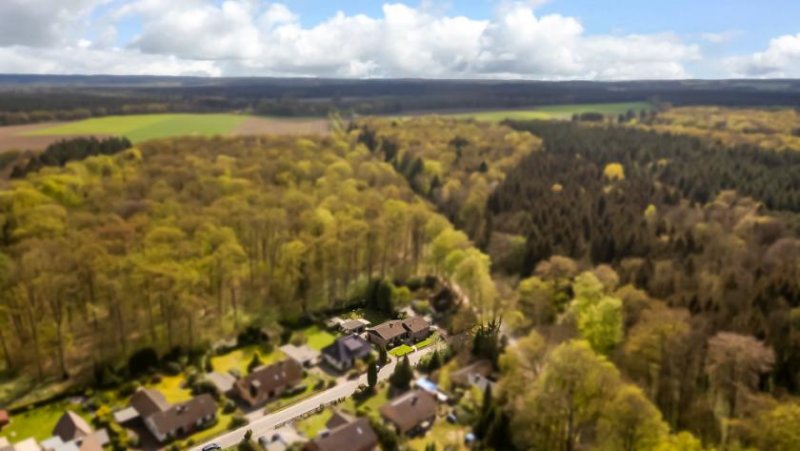 Embsen Waldrandlage & TOP gepflegt, ca. 220 qm Wohn-/Nutzfläche, 2 Wohneinheiten oder als Einfamilienhaus ! Haus kaufen