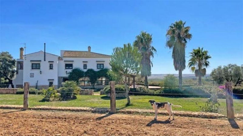 Chucena 87 Hektar Finca, Provinz Huelva - ideal zur Pferde-Rinderzucht zu verkaufen Haus kaufen