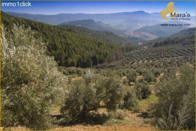 Siles Landsitz, Jagdgebiet, Andalusien, Jaen zu verkaufen Haus kaufen