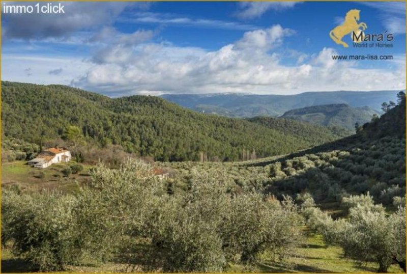 Siles Landsitz, Jagdgebiet, Andalusien, Jaen zu verkaufen Haus kaufen