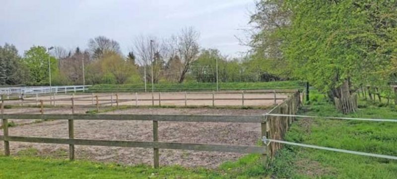 Eutin Schleswig-Holstein - Reitanlage mit 7 Wohneinheiten zu verkaufen Haus kaufen