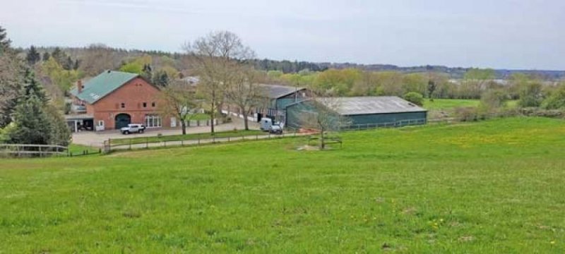 Eutin Schleswig-Holstein - Reitanlage mit 7 Wohneinheiten zu verkaufen Haus kaufen